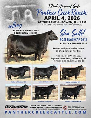 save the date thumbnail